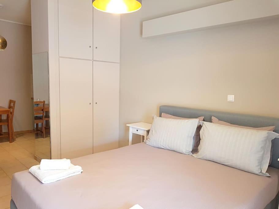 Athens Campus Renovated Studio Apartment @ Ilisia Exterior foto